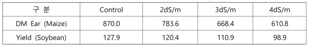 간척지 토양에서 지중관개(암거식)시 옥수수와 콩의 수확량 비교