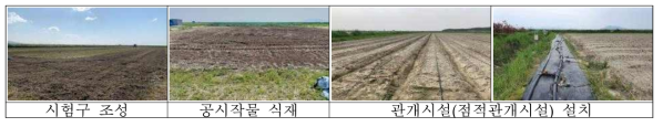 시험구 조성 및 관개시설 설치