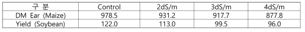 간척지 토양에서 지표 점적관개시 옥수수와 콩의 수확량 비교