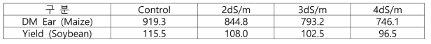 간척지 토양에서 피처법 관개시 옥수수와 콩의 수확량 비교