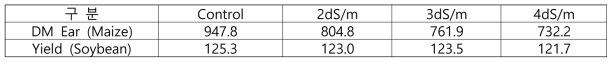 간척지 토양에서 지중점적 관개시 옥수수와 콩의 수확량 비교