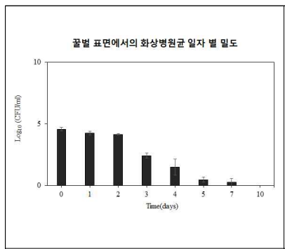 꿀벌 표면에서의 화상병원균 일자 별 밀도