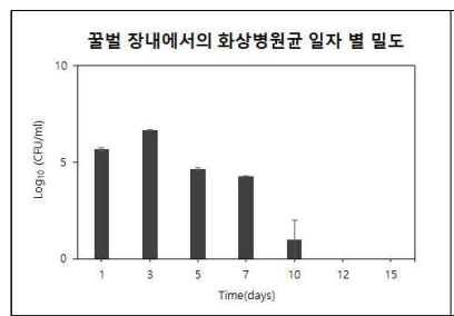 꿀벌 장내에서의 화상병원균 일자 별 밀도