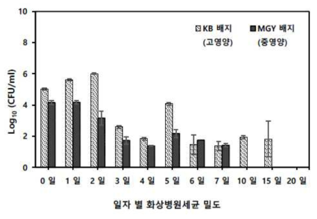 꿀벌 표면에서의 화상병원세균의 생존 기간