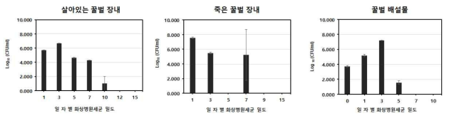 곤충 내부(장내) 및 배설물에서의 화상병원세균의 생존 기간