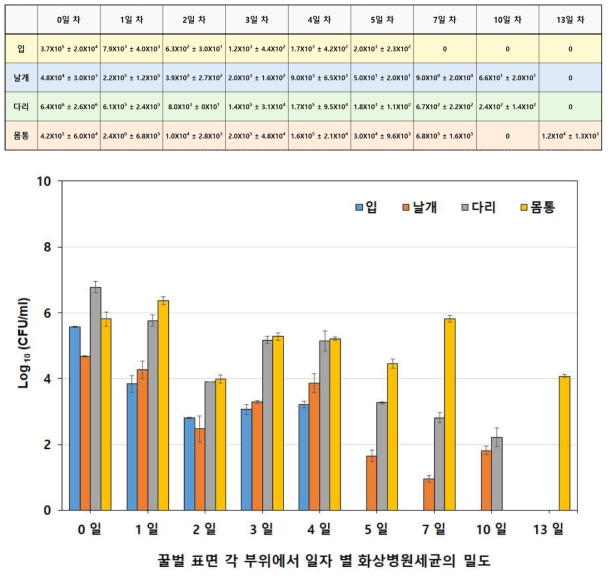 꿀벌 조직별 화상병원세균의 밀도 조사