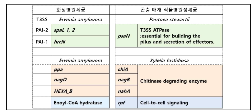 화상병균이 보유한 anti-insecticidal gene 목록