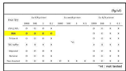화상병균의 농도별 DNA 대상 저밀도 cPCR 결과