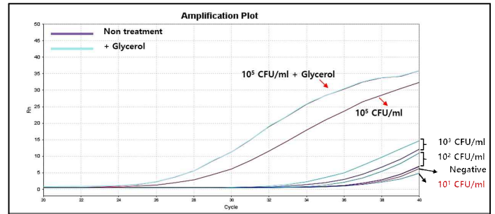 화상병균의 농도별 cell 대상 저밀도 qPCR 결과