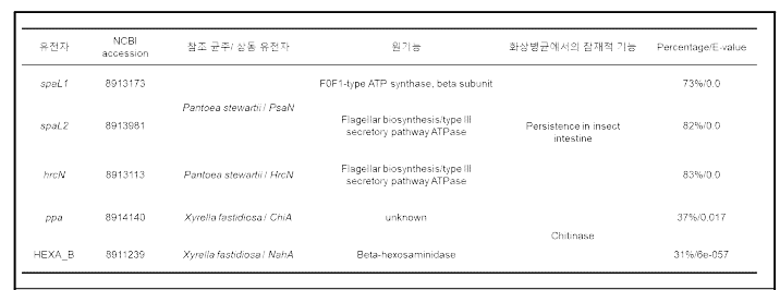 곤충 매개 식물병원성 세균을 참고하여 선발된 화상병균의 곤충 상호작용유전자 후보