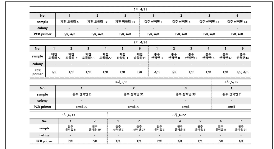 채집한 야생 곤충 표면으로부터 화상병균 검출 cPCR 확인 결과