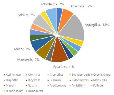 이병식물 줄기와 가지에서 분리된 진균의 비율