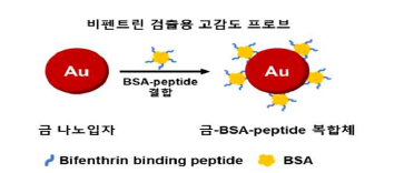 BSA-펩타이드와 금나노입자를 이용한 프로브 합성