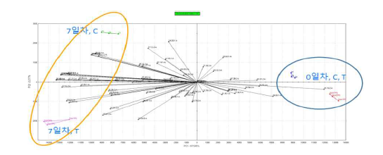항균 추출물의 농도와 노출시간에 따른 닭고기의 전자코 PCA 그래프