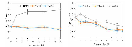 흡습제를 이용한 항균추출물(Y138-6, 167-2) 접촉 시간에 따른 항균활성