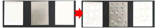 재질별 진균류 점 접종(좌: 세라믹, 중: 스테인리스, 우: 플라스틱)