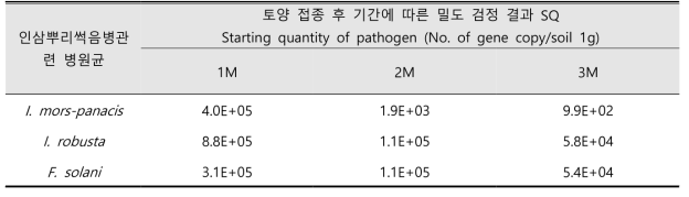 병원균의 토양 접종 후 배양기간에 따른 밀도검정 결과