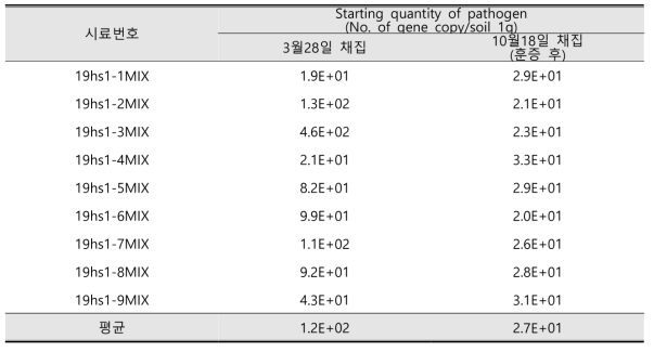 토양훈증 전/후에 따른 인삼뿌리썩음병원균 밀도 비교 결과