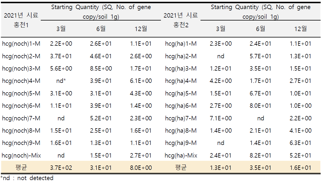 토양 훈증(‘20년) 후 예정지 관리 중인 홍천1, 2 포장의 뿌리썩음병원균 밀도 변화 추적