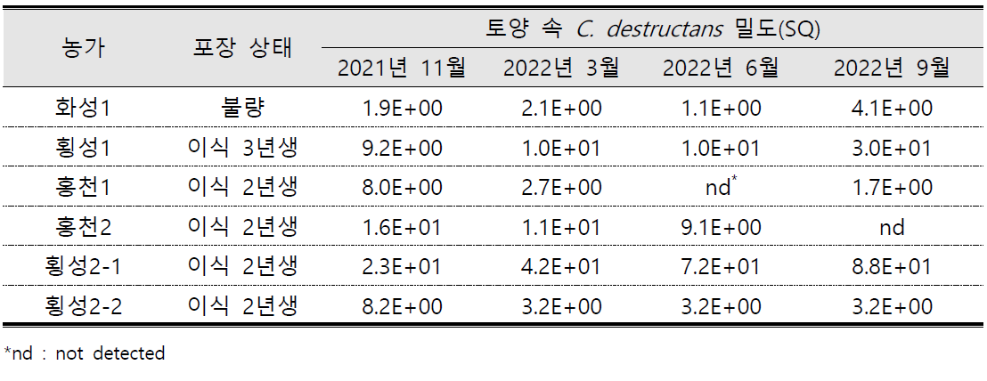 인삼 생육 중 토양 속 뿌리썩음병원균 밀도 조사 결과(토양훈증 실증 농가)