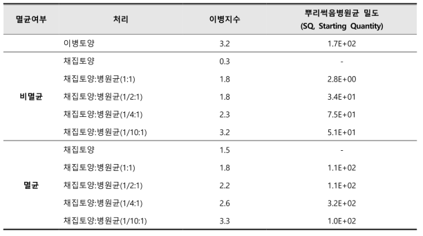 4주차 이병지수 및 병원균 밀도 분석을 통한 억제토양 생물검정