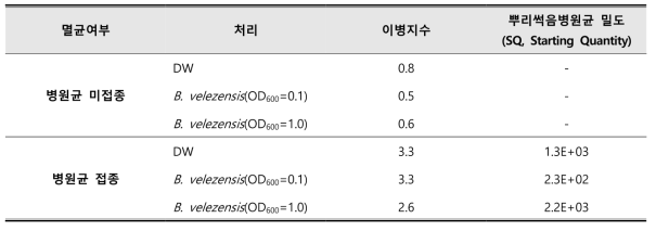 4주차 이병지수 및 병원균 밀도 분석을 통한 억제토양 생물검정