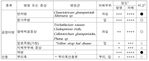 파파야 주요 병 종류 및 특징