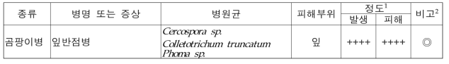 커피 주요 병 종류 및 특징