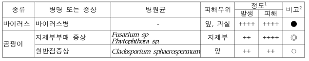 패션프루트 주요 병 종류 및 특징