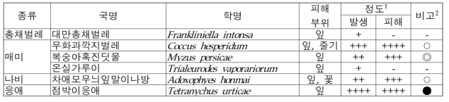 파파야 주요 해충 종류 및 발생 특성