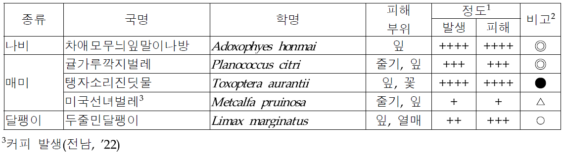 커피 주요 해충 종류 및 발생 특성