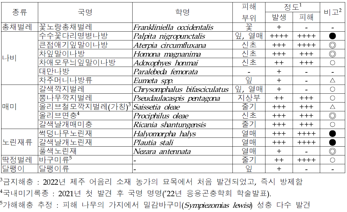 올리브 주요 해충 종류 및 발생 특성