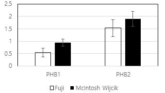 측지발생조절유전자 MdPHB 실시간발현 분석(좌: Fuji(대조), 우: McIntosh Wijcik)