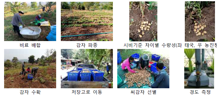 노지 시험포에서 시비수준별 비교 평가(CMRARC)