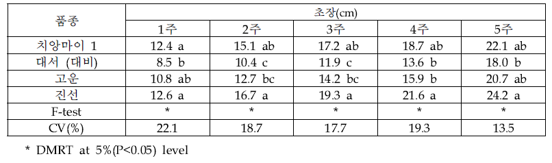 2020/2021 치앙마이 CMRARC(쿤왕)에서 동계 포장 시범재배에서 DOA 및 RDA에서 육 성한 4품종의 초장