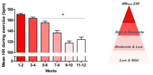 운동군의 자발적 운동주차별 심박수 결과(좌), 심박수에 따른 운동 강도(우)