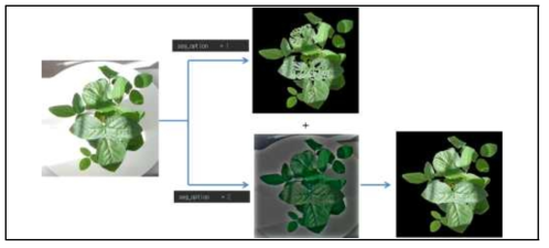 Modified ExGR image segmentation