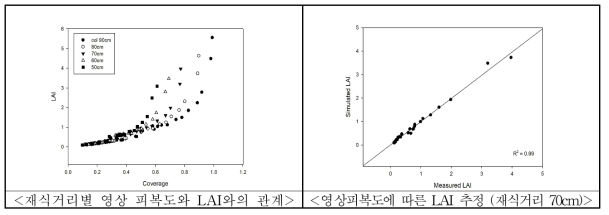 재식거리에 따른 영상 생육지표와 실측 LAI와의 관계