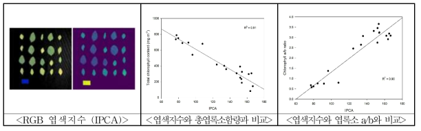 RGB 영상활용 콩 엽면적 및 LAI 추정기술