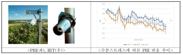 수분 스트레스 처리에 따른 PRI 반응 추이