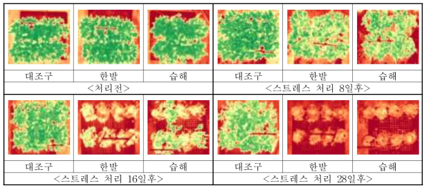 수분 스트레스 처리에 따른 콩 NDVI 식생지수 영상비교