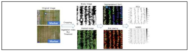 RGB image processing pathway