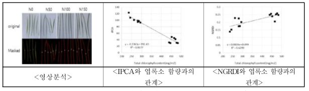 잎 클로로필 함량 및 color index 간 상관관계 분석