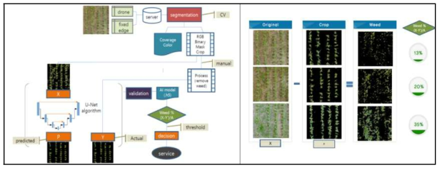 인공지능 및 컴퓨터비전 활용 잡초발생량 산정 모식도