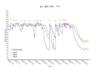 토양 깊이별 무관수 조건에서의 풍산나물콩 포장 수분 변화