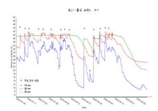 토양 깊이별 관수 조건에서의풍산나물콩 포장 수분 변화
