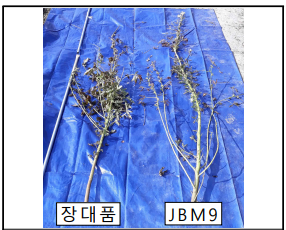 장대품과 JBM9의 외형 비교