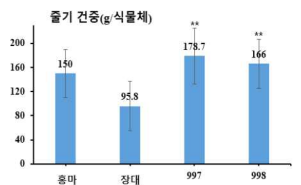 줄기 건물중 비교 : 100x50 cm/재식 밀도