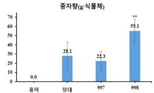 종자량 비교 : 50x50 cm/재식 밀도