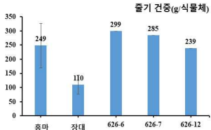 줄기 건물중 비교 : 선발 계통 우수